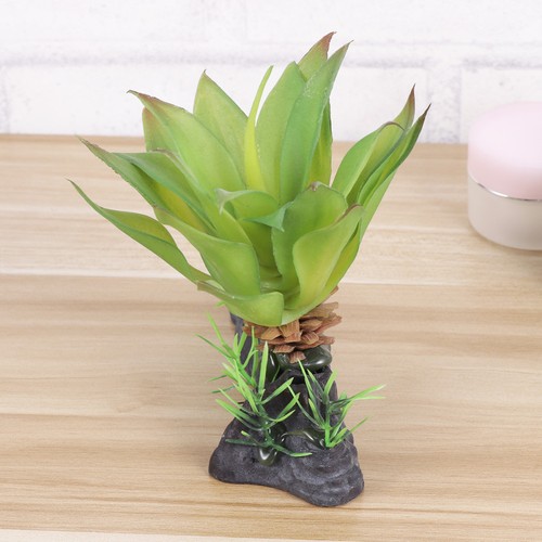 Terrarium decoration - ,