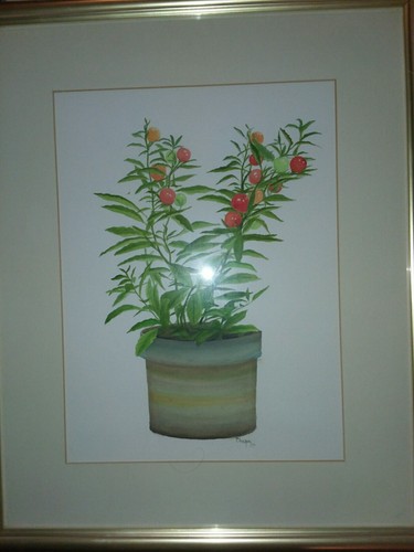 1983 watercolor chapa - 1983,