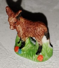 Fève 🌞 Baudet Du Poitou