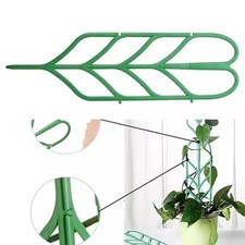 Nourrissez votre jardin d'intérieur en utilisant notre et solide pack de douze