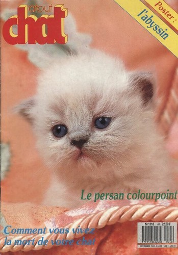 Atout chat le persan - n°44,