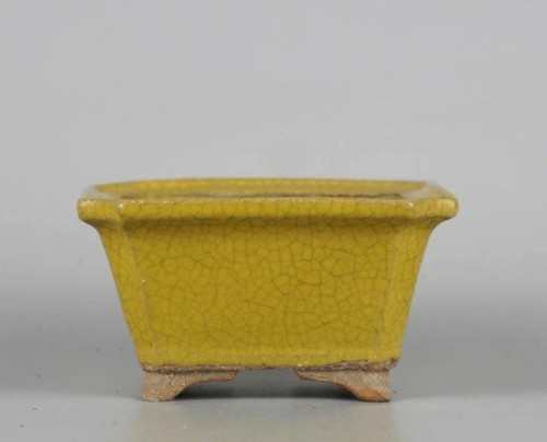 Pot bonsaï japonais kenzan - bonsaï,