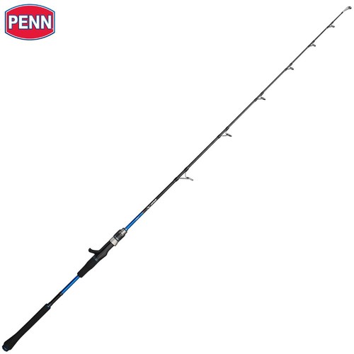 PENN Jigging Baitcasting Model