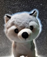 Chiot Husky Automate