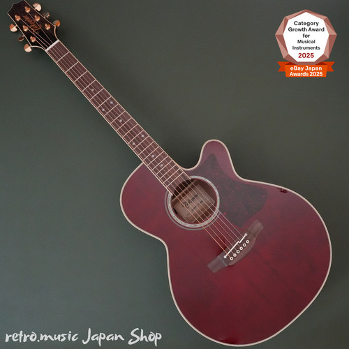 Guitare électrique acoustique