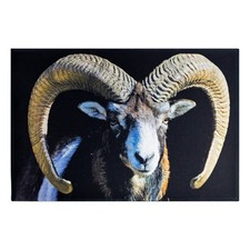 Tapis de cuisine Mouflon | LoverGreen
