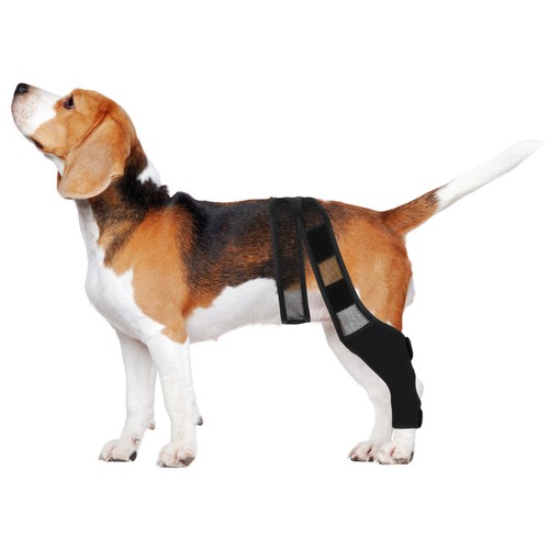 Attelle jambe pour - attelle, de