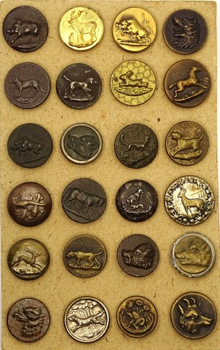 Vénerie lot boutons de - lot, 24