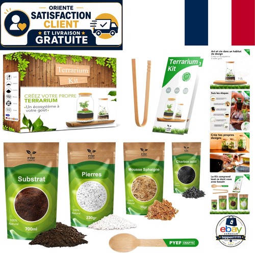 Terrarium verre - terrarium, en