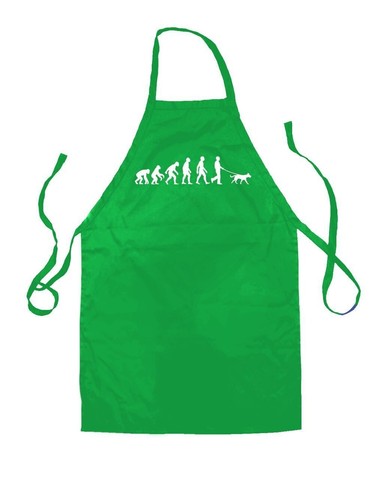 Evolution homme chien - homme,