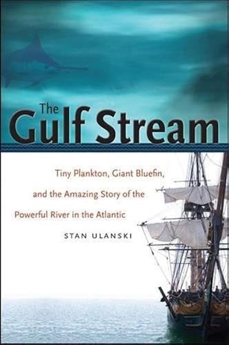 The gulf stream tiny - the,