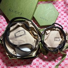 Ensemble collier et laisse