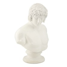 Buste Homme en Résine