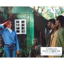 GORILLAS IN THE MIST Original Lobby Card N05 - 9x12 in. - 1988 - Michael Apted,