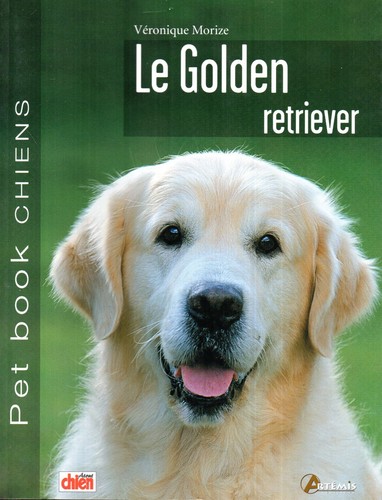 Golden retriever - le,