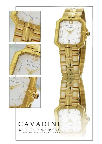 Cavadini montre homme luxe - cavadini,