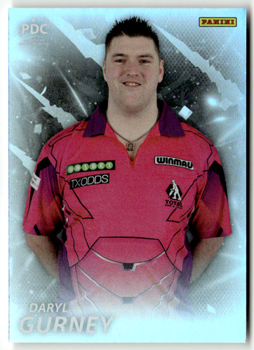 Panini 2025 pdc - panini, league