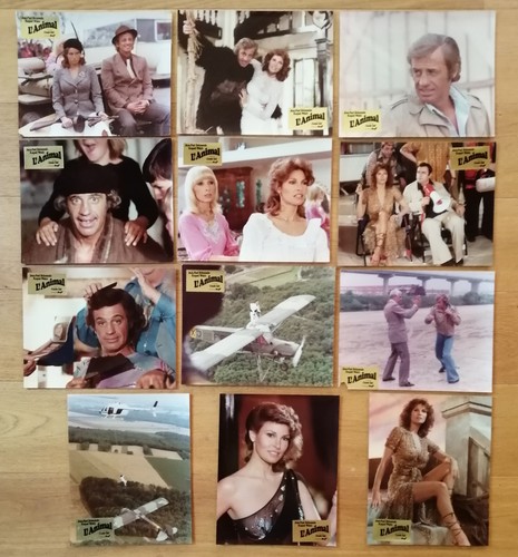Jean paul belmondo animal - paul, l'animal