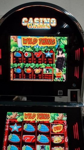 Machine sous casino vidéo - casino,