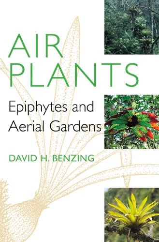David benzing air plants - david,