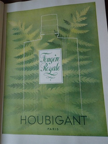 Fougere royale parfum - fougere,