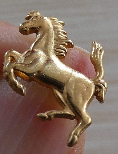Beau petit pin - beau,