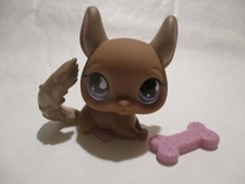 PETSHOP CHINCHILLA N°799 +