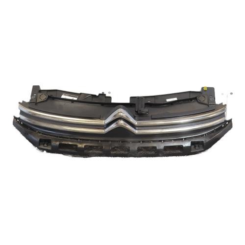 Calandre citroen phase - phase, 1