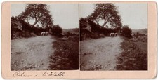 Ferme près de Lyon.Retour à