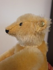 Rare grand Ours Steiff Record