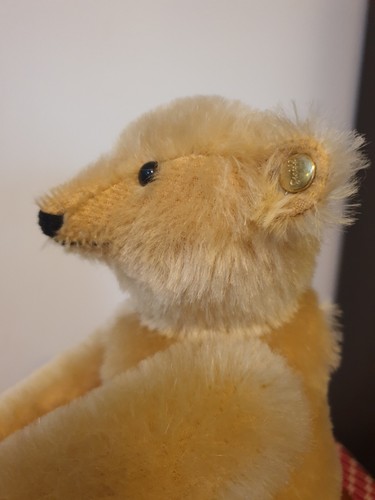 Rare grand ours - rare, steiff