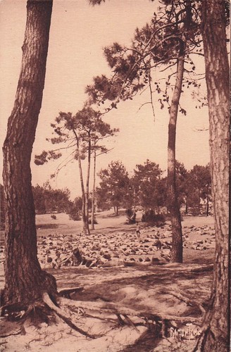Ile oleron maison - 17,