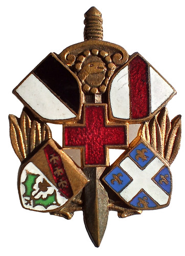 Insigne service sante san - sante,