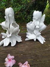  Paire de Vases Tulipier en