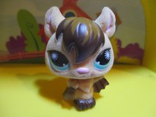 Petshop chauve-souris Velours