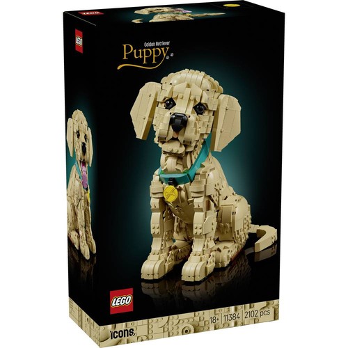 Lego icons 6588537 11384 - icons™,