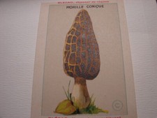 CHROMOS. PUBLICITAIRE. BLECAO