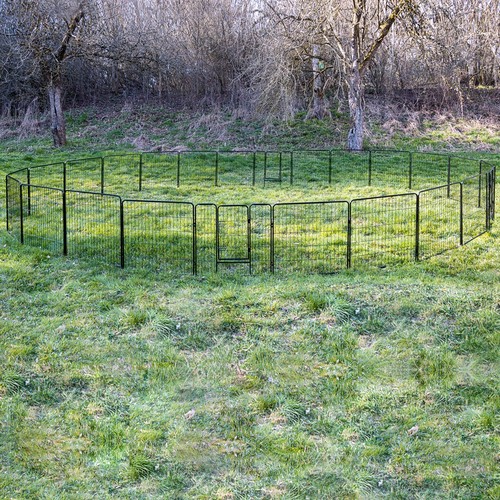 Parc enclos cage - parc, chiots
