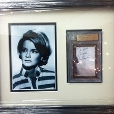 Hollywood Actress Legend