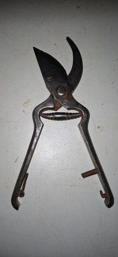 Secateur ancien de - ,