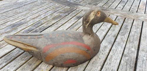 Canard appelant old evans - d,