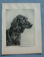 Croxton Smith Dog prints 1935