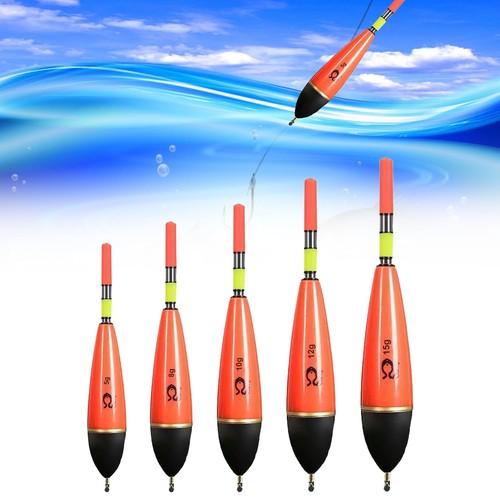 Flotteur peche 5 pièces - flotteur, peche,