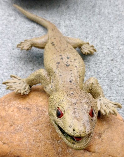 Tokay lizard gekko - lizard,