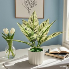 Plantes artificielles vertes