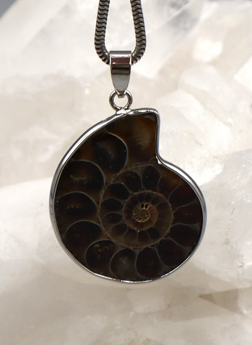 Grand pendentif ammonite - pendentif,
