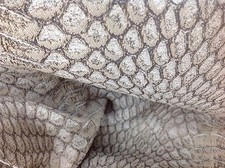 Tissu Jacquard Stretch Serpent