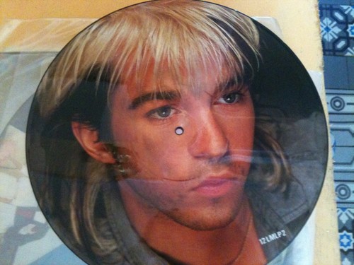 Picture disc vinyle 33t maxi - vinyle,