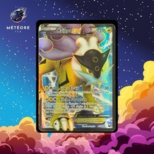 Carte Pokémon Raikou Ex