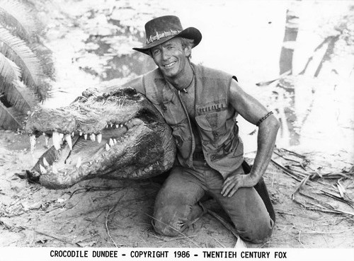 Paul hogan crocodile - paul, dundee